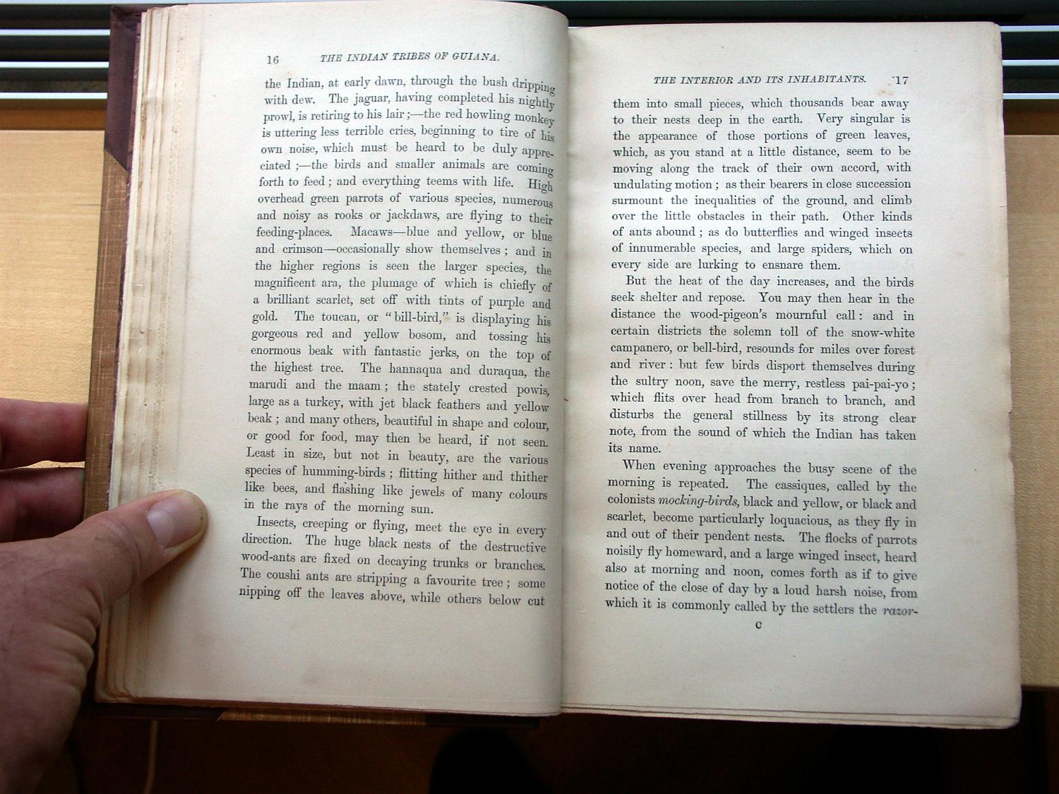 zz-bret68,s.16 vogel